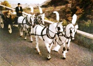 Servizio Noleggio Carrozze d'epoca